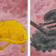 A cropped image from Jonesy by Rory Lucey